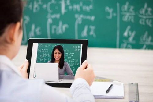 当学历光环褪去 清北毕业生涌入教育机构的生存逻辑与行业反思